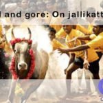 Today’s Focus on The Hindu| Bull and gore: On jallikattu