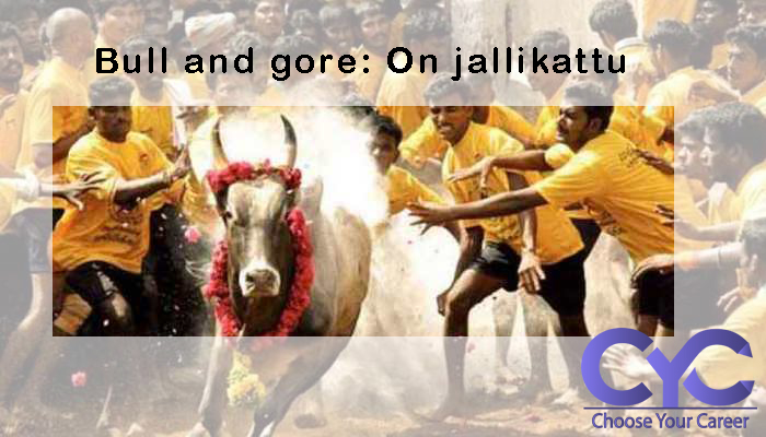 Today's Focus on The Hindu| Bull and gore: On jallikattu
